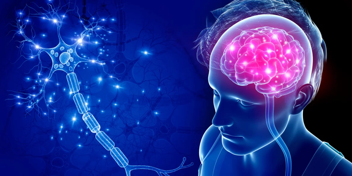 Gaya Hidup Seimbang untuk Sistem Saraf yang Optimal